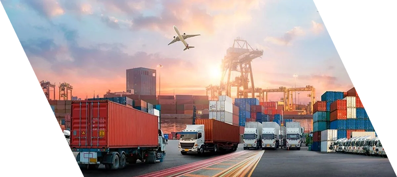 Domestic & International Transportation and Distribution